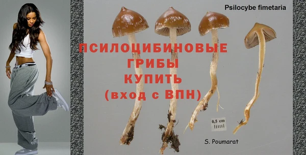 ГАЛЛЮЦИНОГЕННЫЕ ГРИБЫ Абаза
