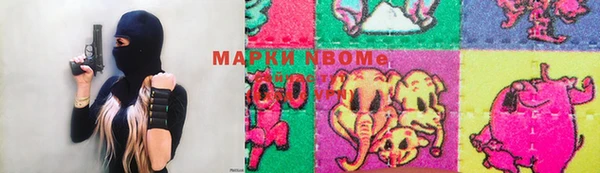 ГАЛЛЮЦИНОГЕННЫЕ ГРИБЫ Абаза