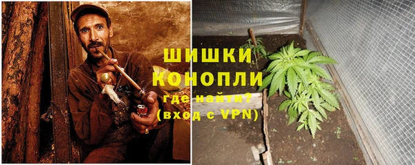 ГАЛЛЮЦИНОГЕННЫЕ ГРИБЫ Абаза