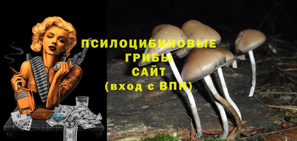 трава Нязепетровск