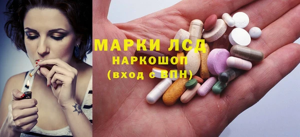 ГАЛЛЮЦИНОГЕННЫЕ ГРИБЫ Абаза