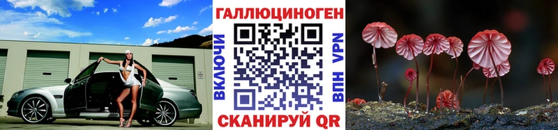 Псилоцибиновые грибы Psilocybe  Правдинск 