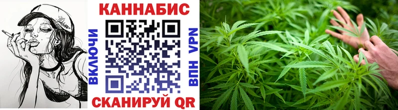 Бошки марихуана сатива  купить наркоту  Правдинск 